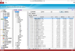 Access开发的软件欣赏 从数据库工具到强大应用